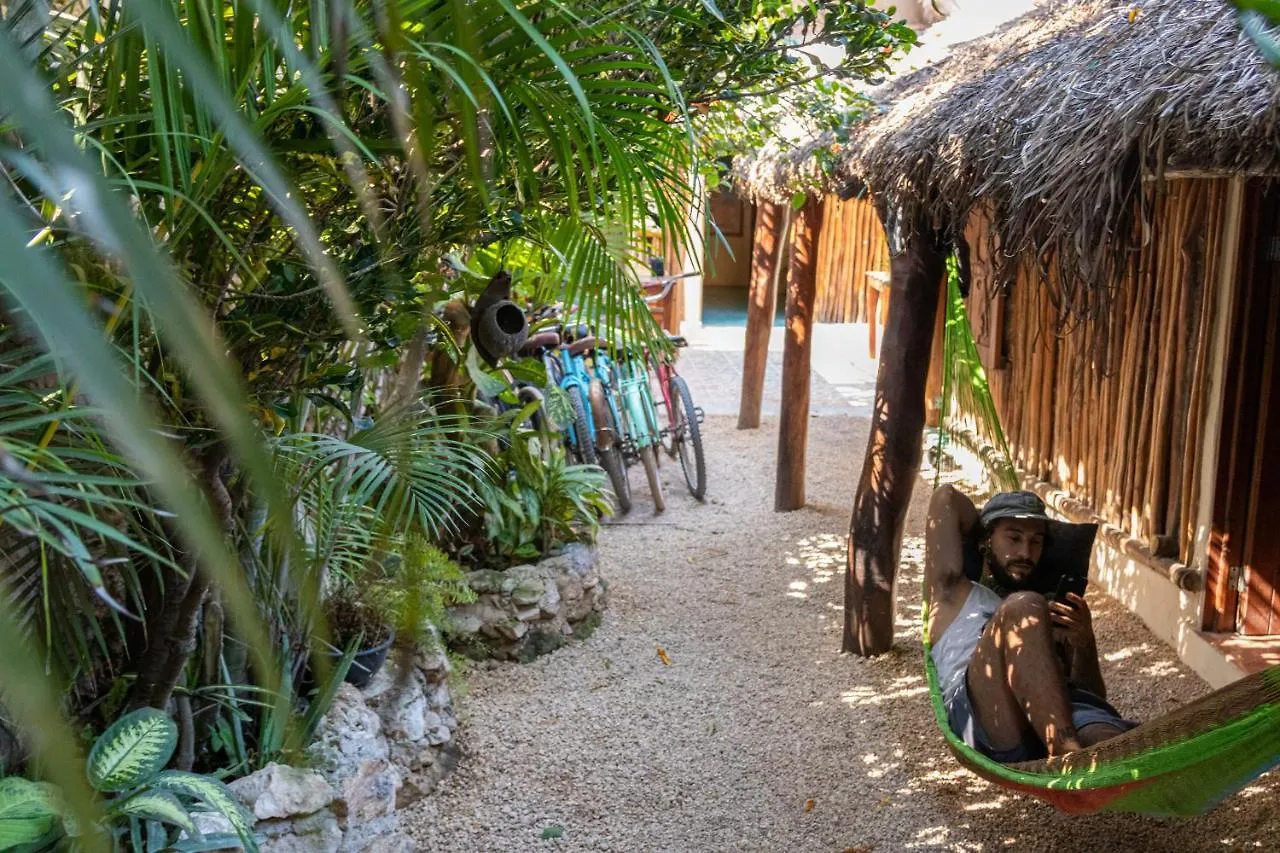 Chill Inn Hostel Tulum Mexico